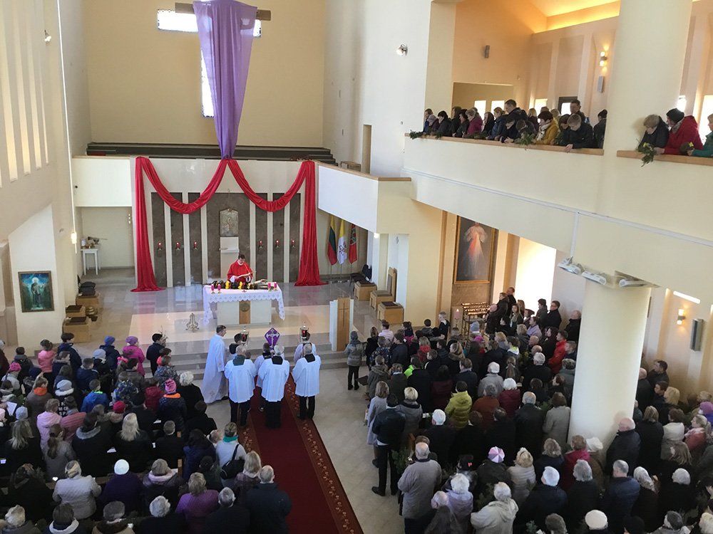 Verbų sekmadienis Domeikavos parapijoje