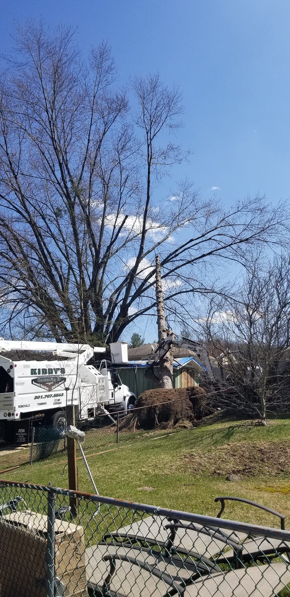 Tree services — Lonaconing, MD — Kiddy's Contracting