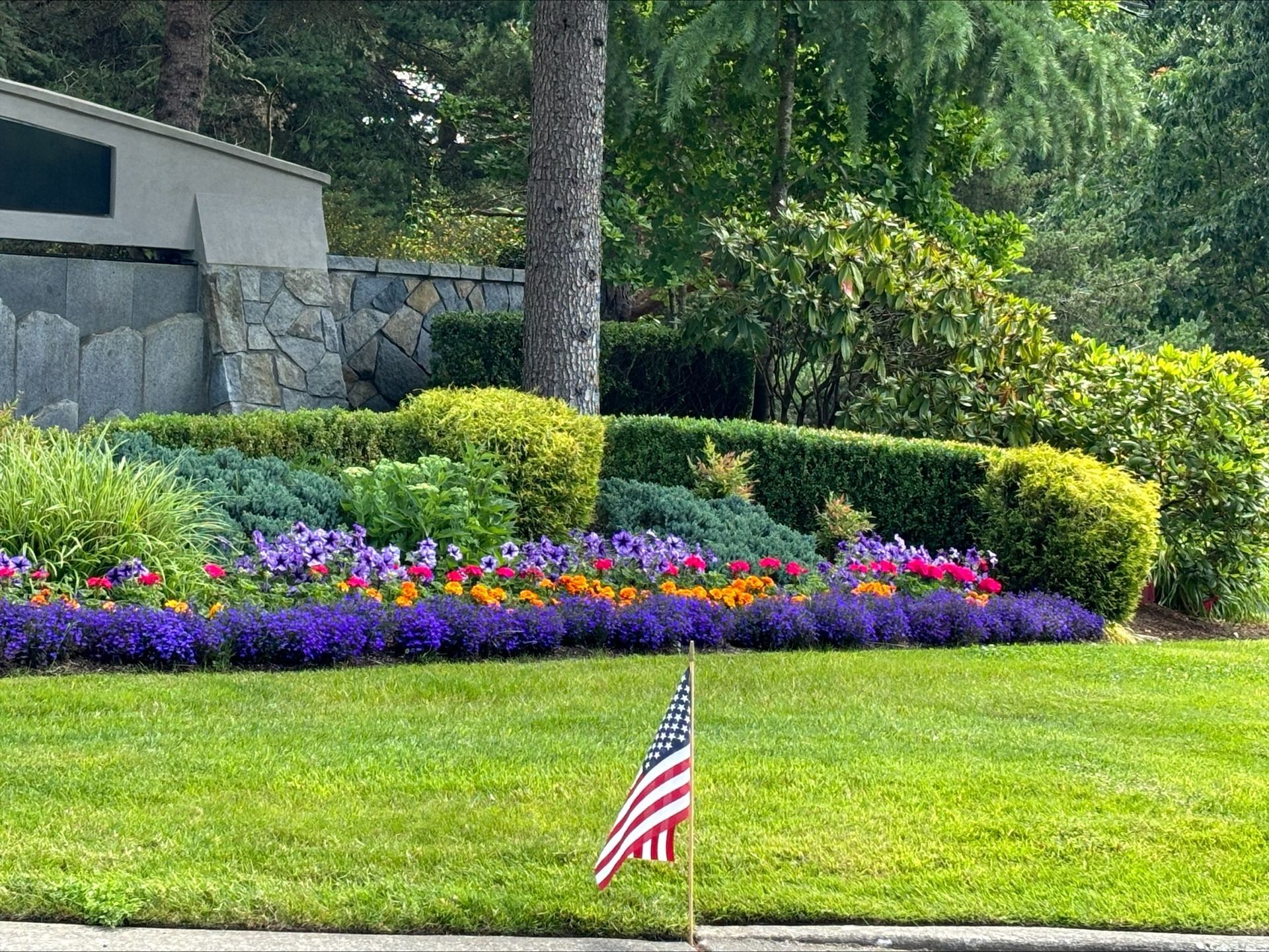 A lush green garden filled with lots of plants and trees.