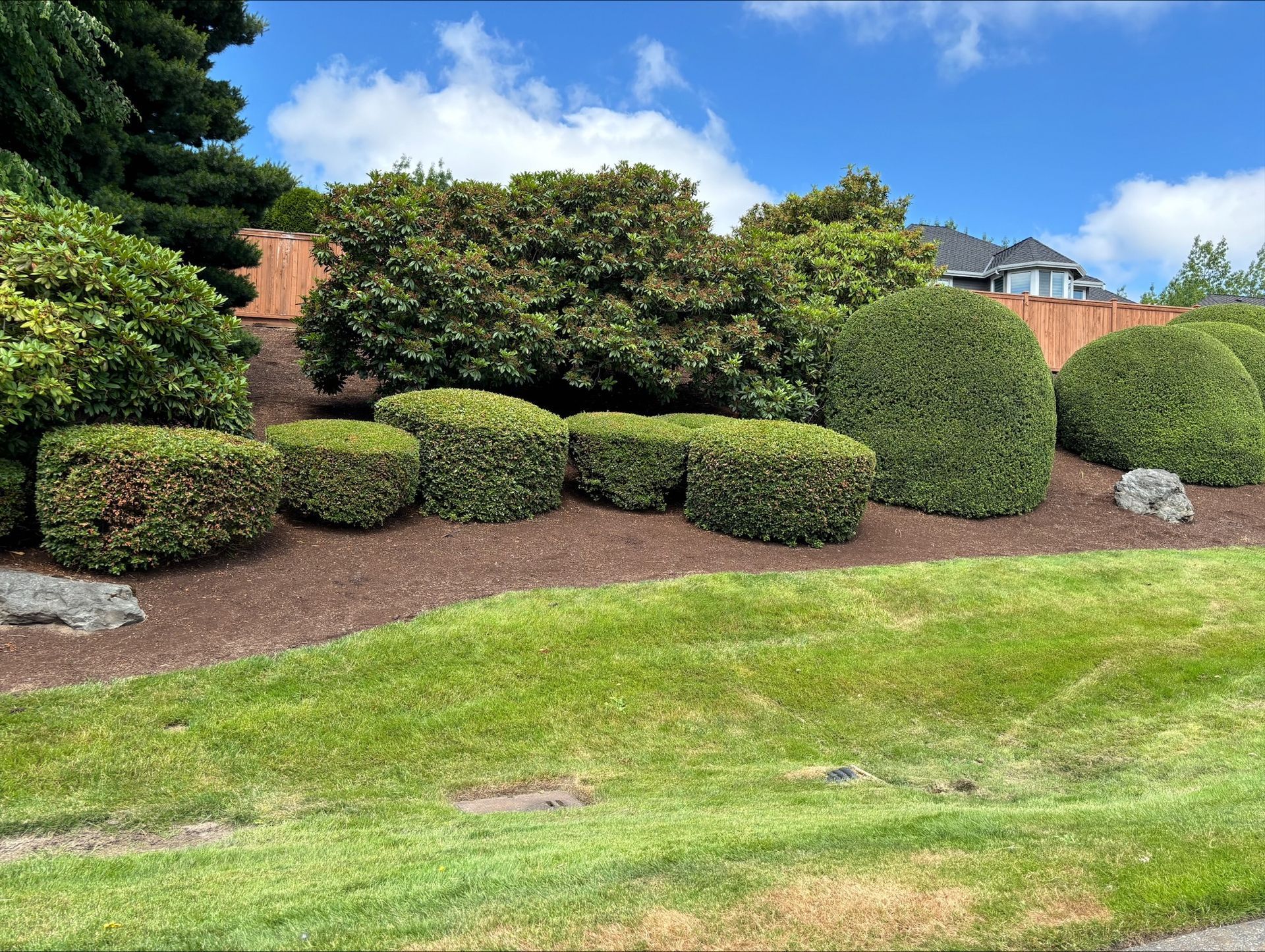 A man is cutting a tree with a chainsaw in a bucket.