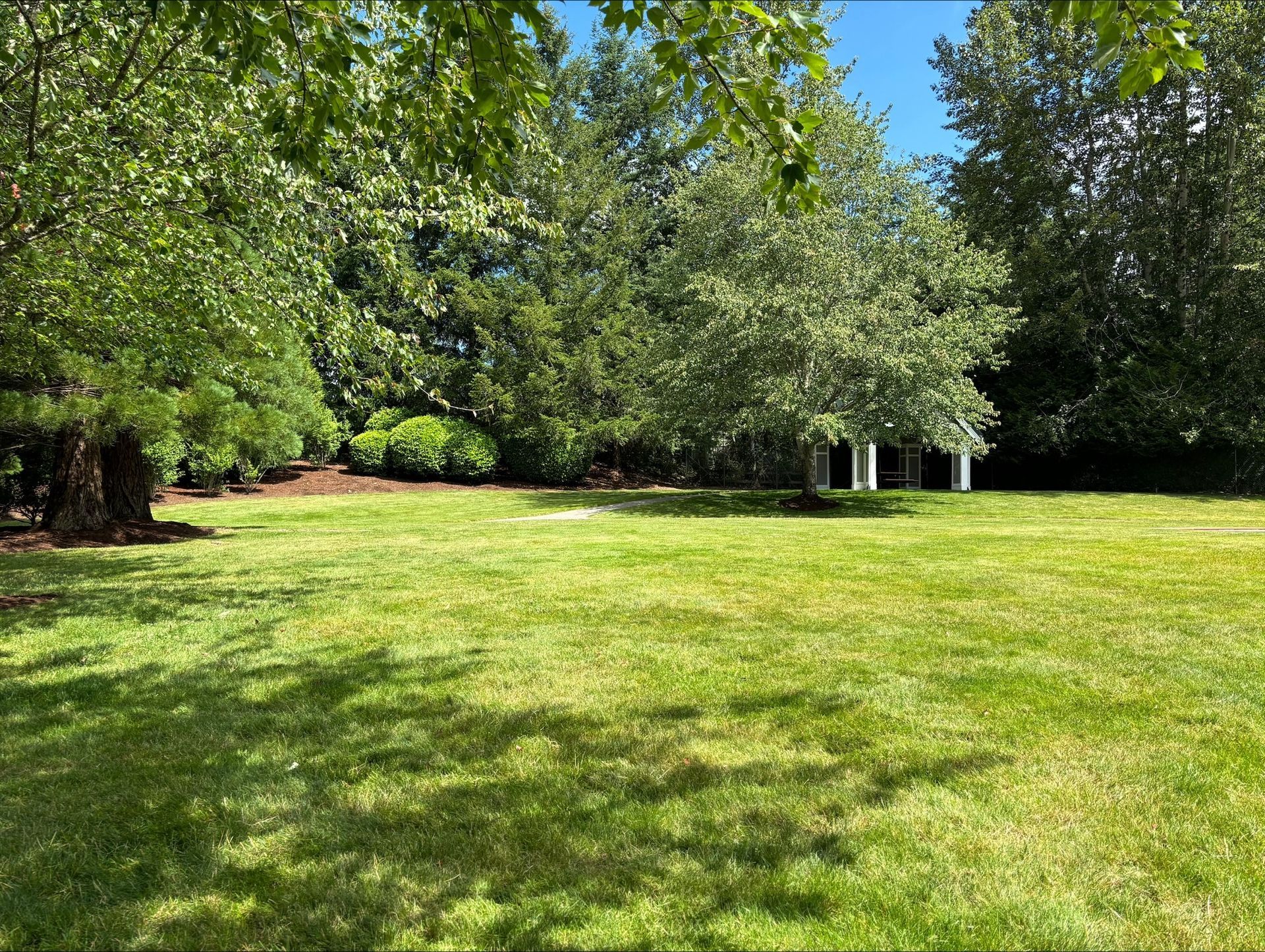 A green wheelbarrow filled with branches in a garden.