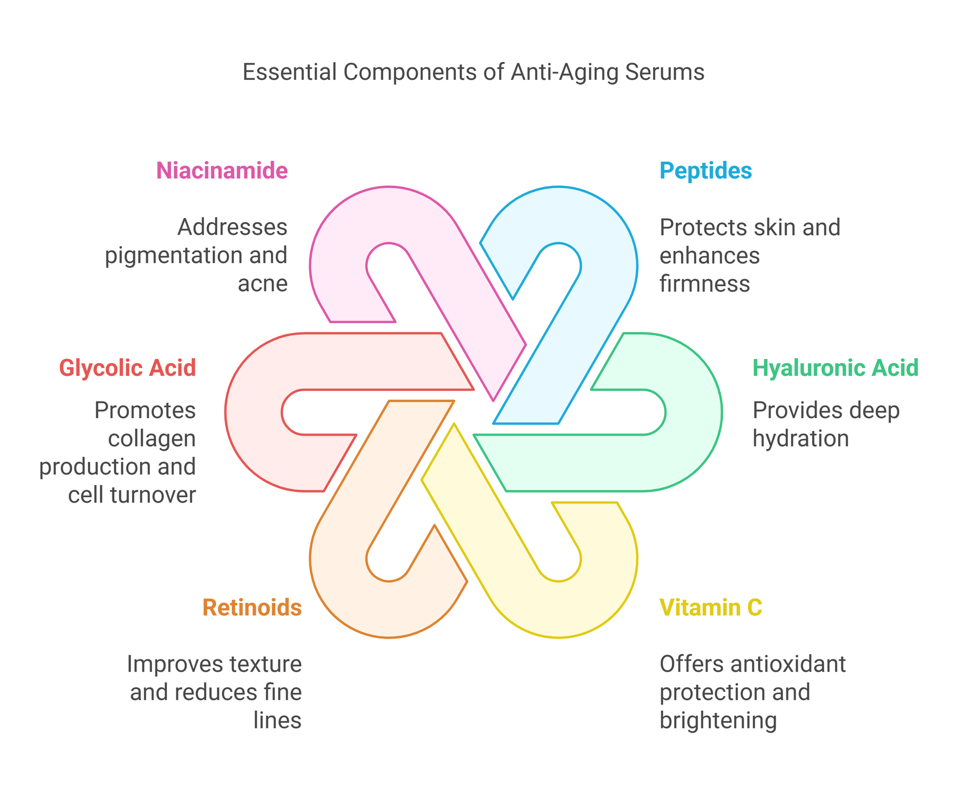 A diagram showing the essential components of anti-aging serums.