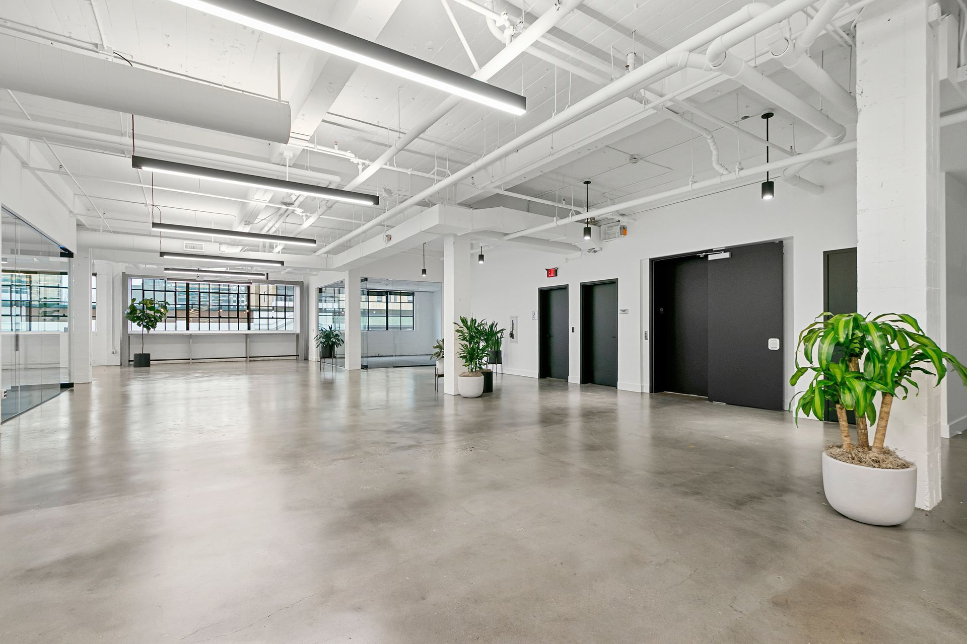 Bright empty office with polished concrete floors, white beams, black doors, and potted plants