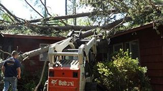 Tree Being Removed from the House - Tree Removal in Rogersville, AL