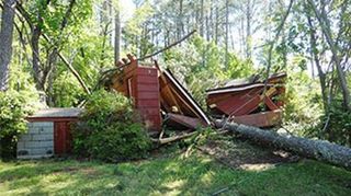 Damage of Fallen Tree - Tree Removal in Rogersville, AL