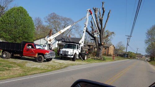 Man on Bucket Truck — Rogersville, AL — Complete Tree Service