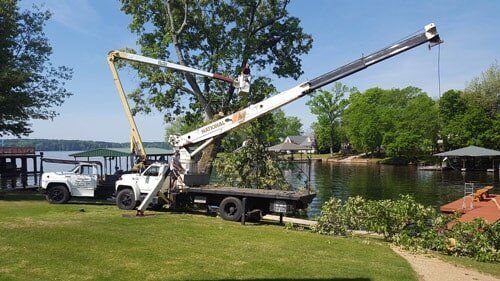 Cutting Tree Trucks — Rogersville, AL — Complete Tree Service