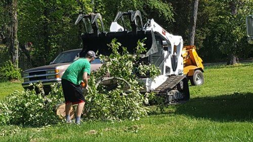 Skid Steer Grapple and Bucket Truck — Rogersville, AL — Complete Tree Service