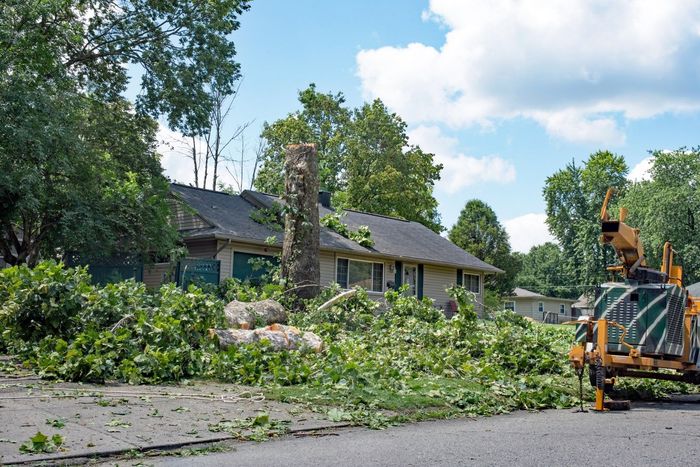 House surrounded by cut tree branches and a wood chipper on a sunny day.