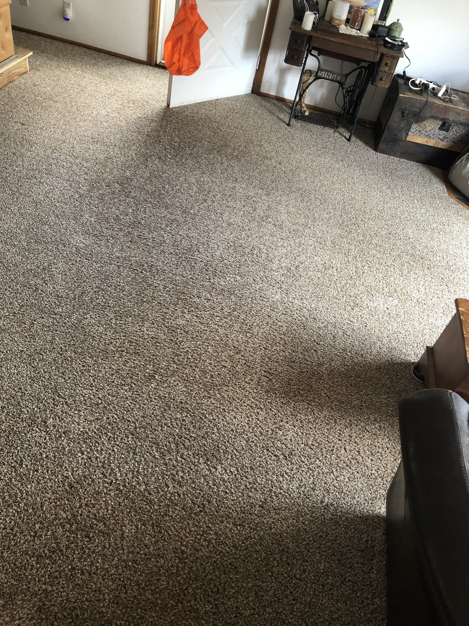 After Carpet Cleaning Photo