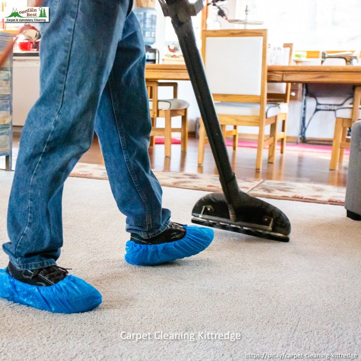 Professional Carpet Cleaning Service in Jefferson County, CO, near Denver