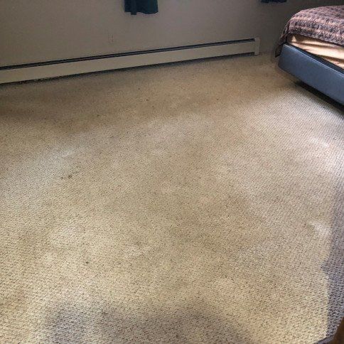 Before Carpet Cleaning Photo
