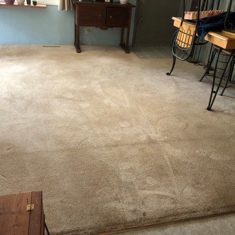 Before Carpet Cleaning Photo