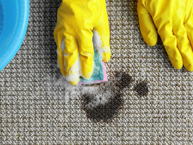 Professional Carpet Cleaning Service In