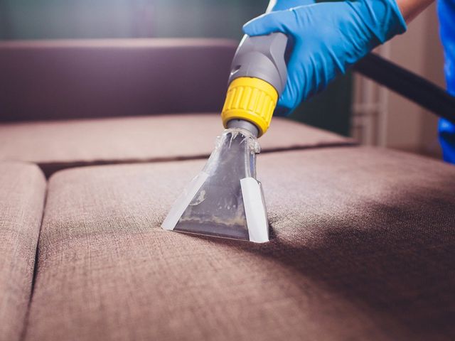 Upholstery Cleaning Services in Evergreen, CO