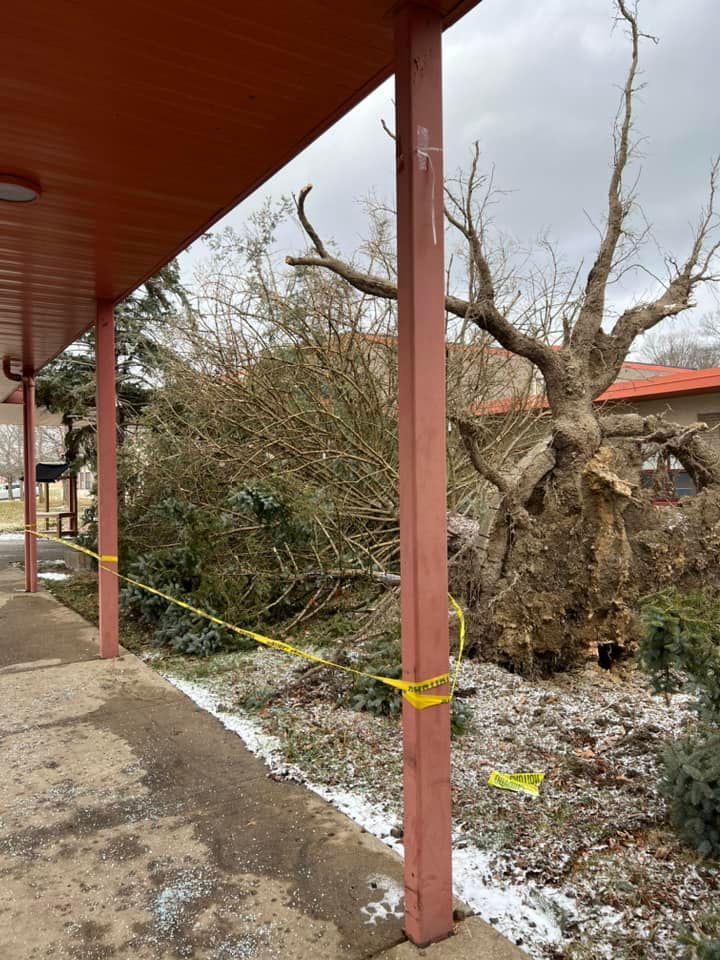 Fallen tree with exposed roots next to a red-columned building, yellow caution tape surrounding debris. Gray sky.