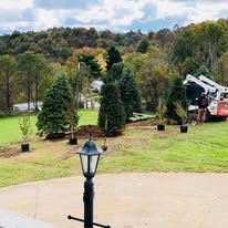 Lawn with trees, a lamp post, and a construction vehicle in the background. Cloudy sky.