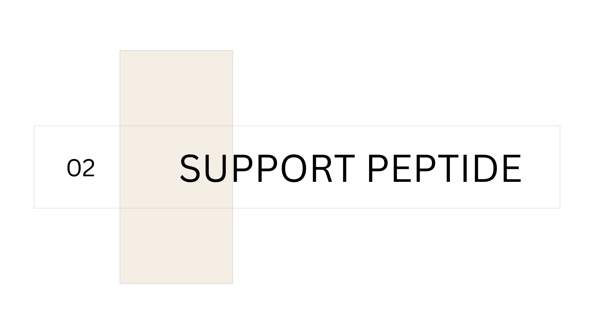 02 Support Peptide, with a light tan vertical rectangle behind the text.