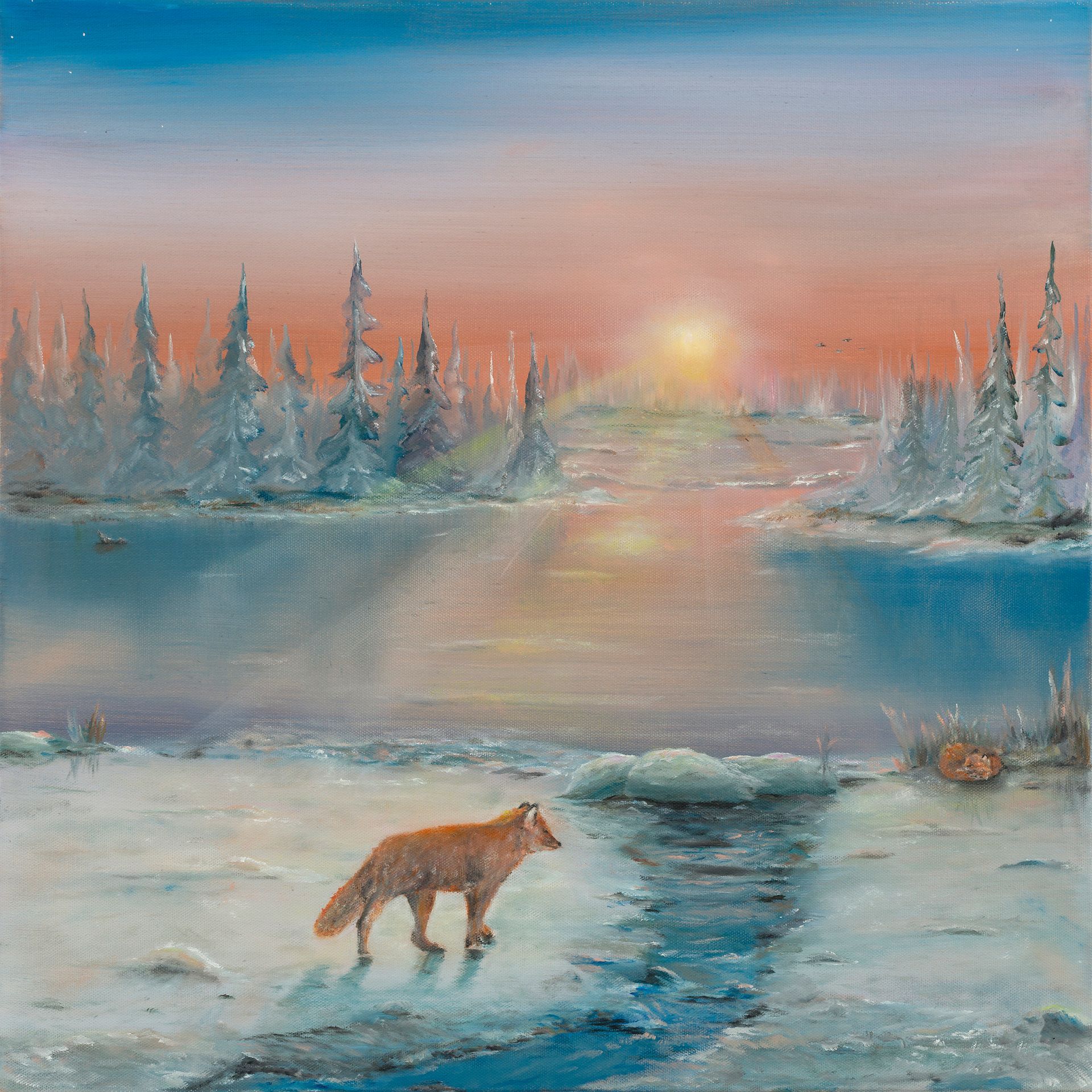 Fox in a snowy landscape at sunrise, with icy river and frosted evergreens.