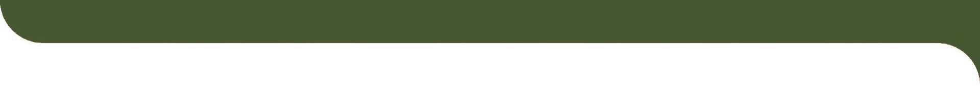 A green rectangle with a white border on a white background.