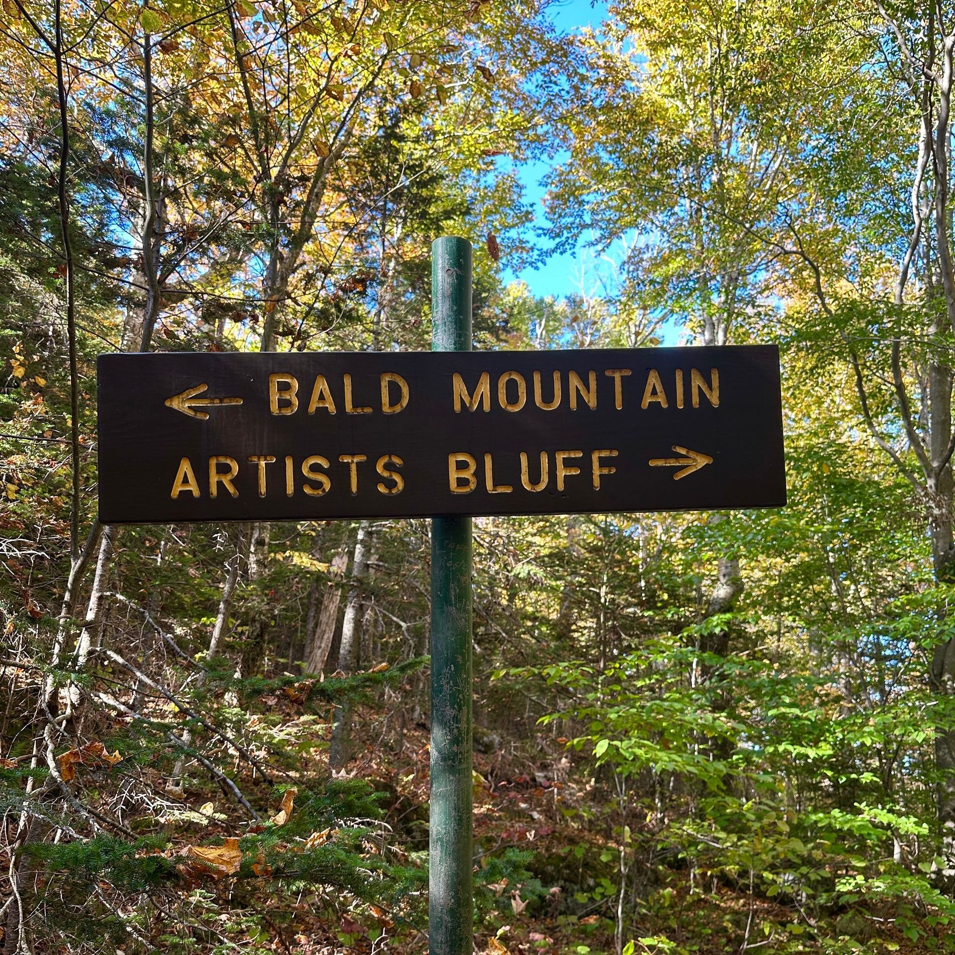 trail marker in brown directing hikers in franconia notch state park about which trail to take, pointing right to artists bluff trail and left to bald mountain trail, framed by fall foliage on a beautiful day in october
