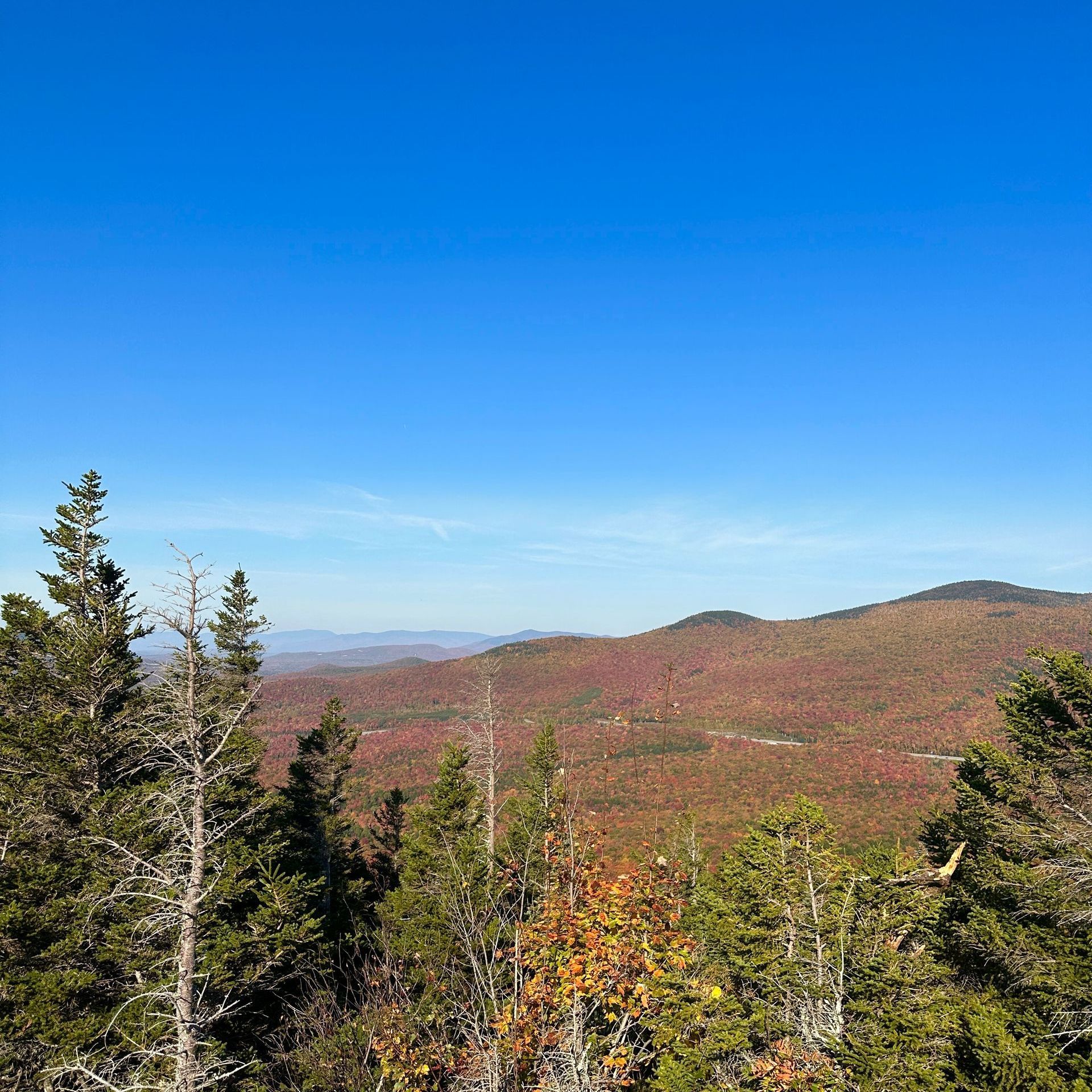 fall view in franconia notch state park featuring mountains, a blue sky, and pine trees taken on a hot day in october, taken from the summit at artists bluff hiking trail