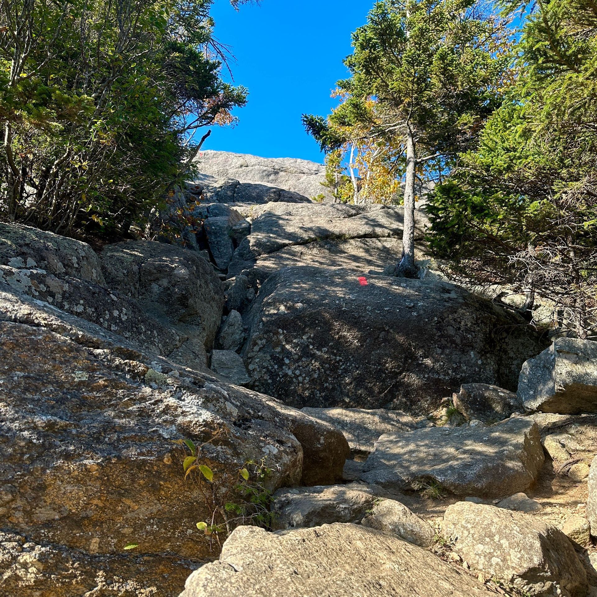 shaded large boulders with a red trail marker and a blue sky peeking through pine trees on the artists bluff hiking trail in franconia notch state park, new hampshire