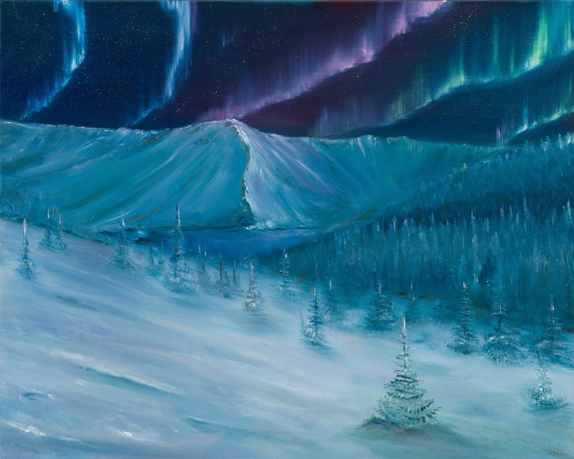 Snowy pine forest beneath glowing blue-green northern lights over icy hills