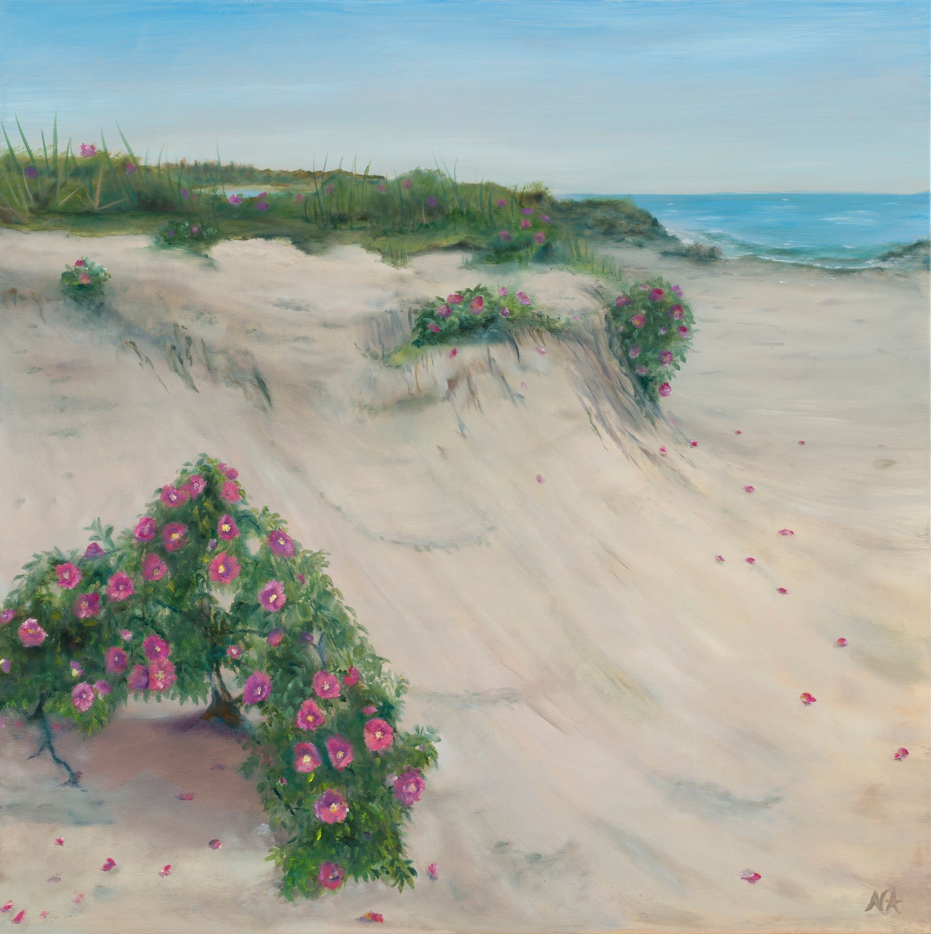 Sandy beach with pink-flowered dunes and blue ocean under a clear sky