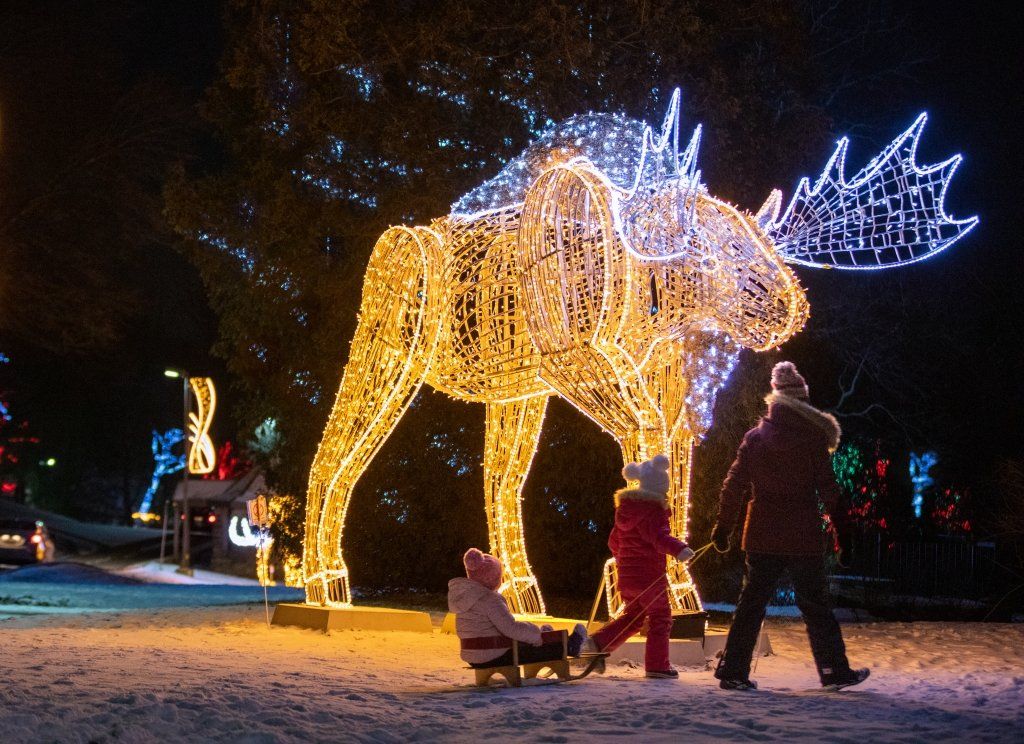 Winter Festival of Lights - Moose at night