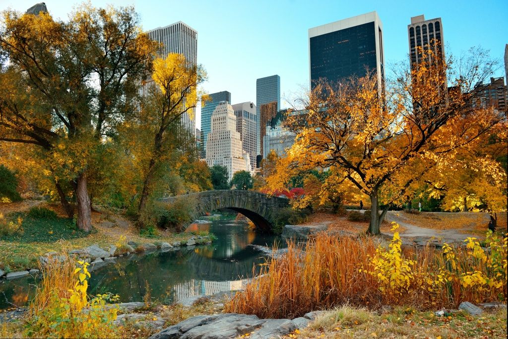 Central Park in the fall.