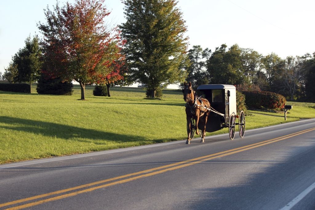 Amish, Theatre, & Shopping