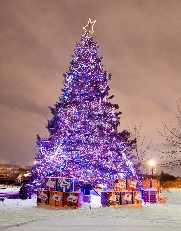 Sherbrooke Christmas Tree - Destination Sherbrooke