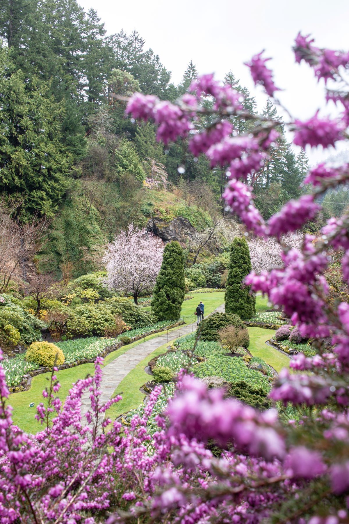 Butchart Gardens in Springtime