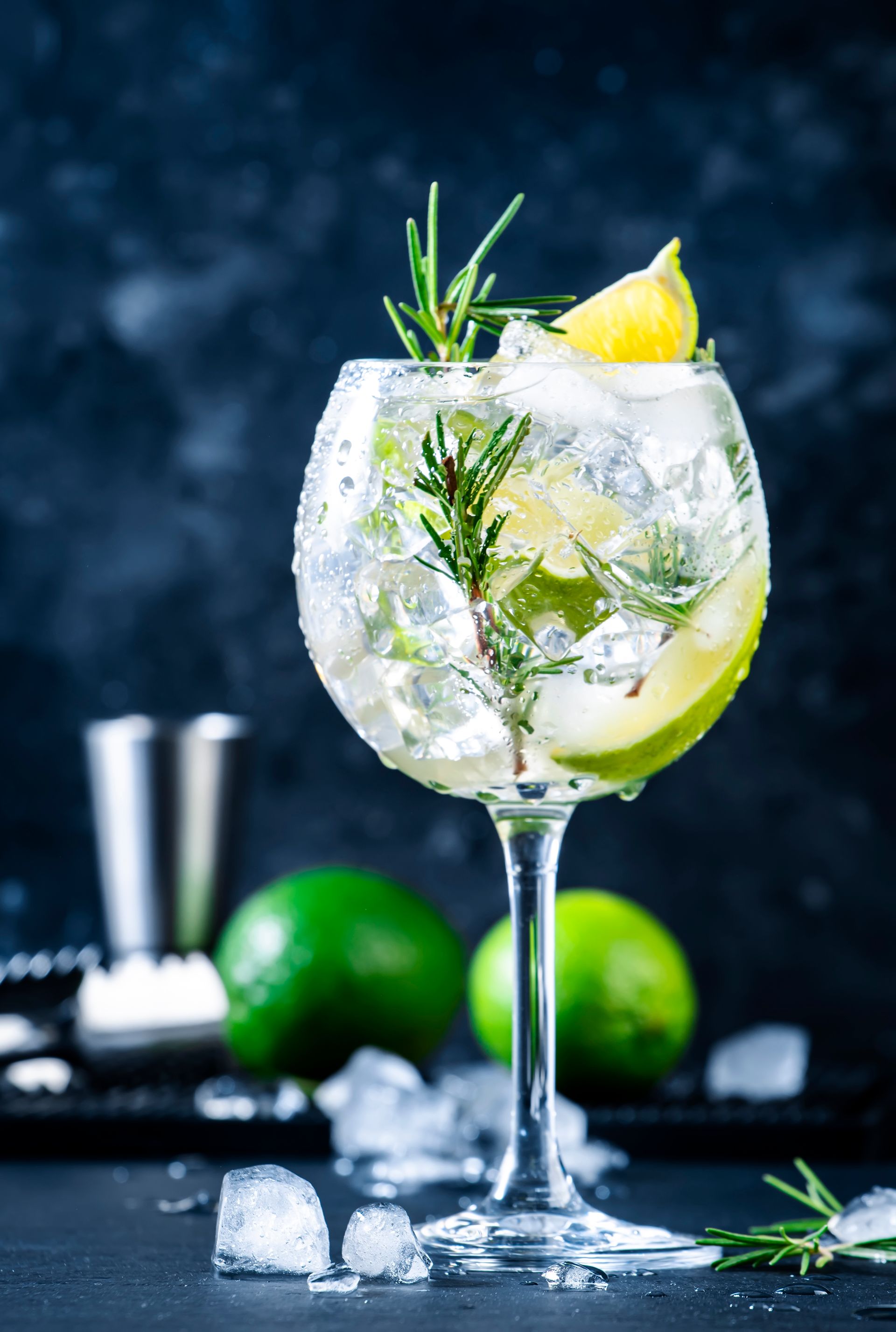Lista dei Gin e Tonic disponibili presso il CLASS Ristorante Cocktail Bar Roma
