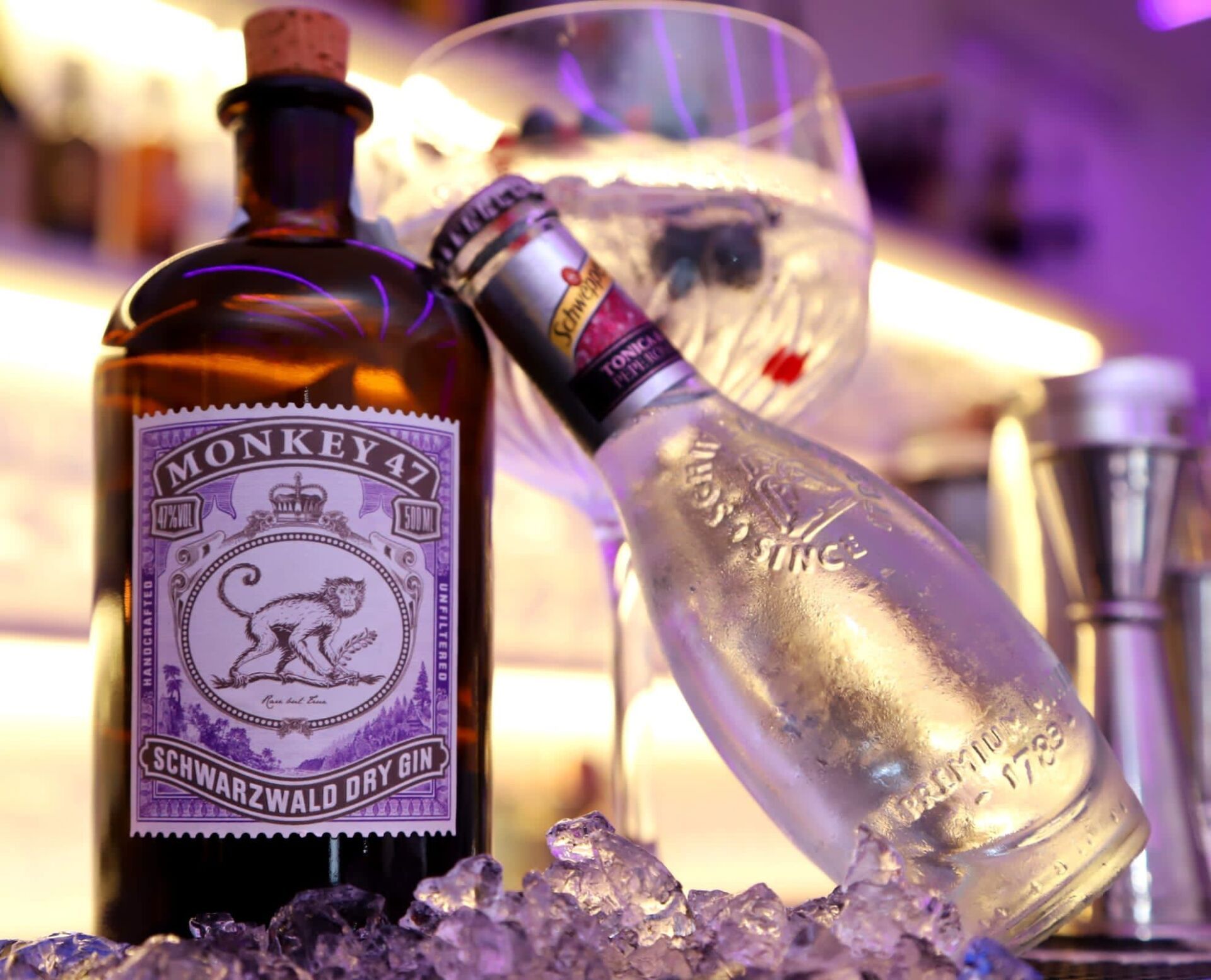 Foto di una bottiglia di Gin utilizzata dal Class Cocktail Bar Roma