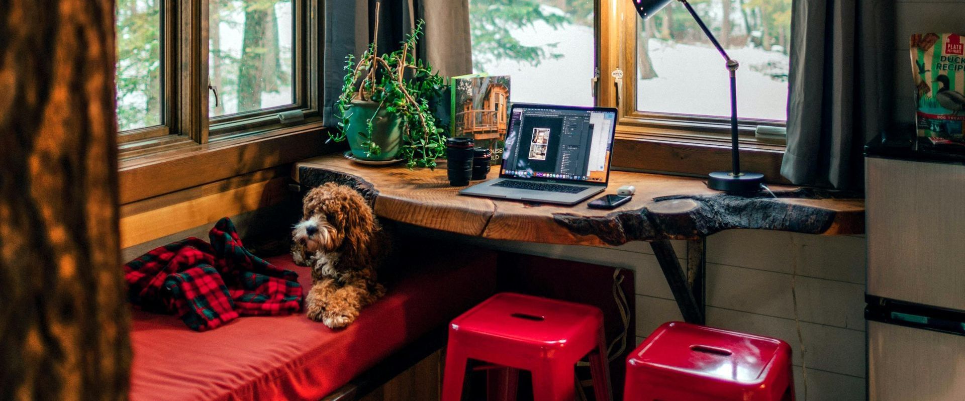 A cleaned short-term rental by Mountain Tops Cleaning Service with a bear, a flannel, and a laptop with a streaming service.