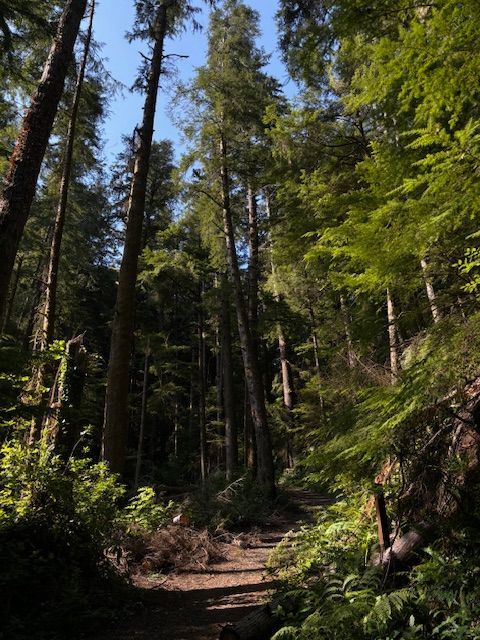 L A McMurracy, writer, activist, speaker on spiritual and life matters.