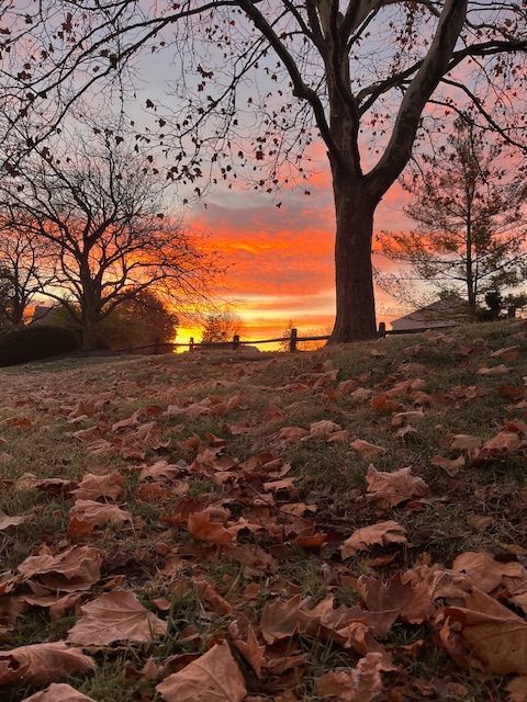 If you tell me “no” there’s a good chance I may ask you why.