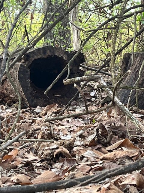 L A McMurracy, writer, activist, speaker on spiritual and life matters.