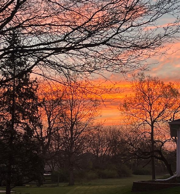 Curiosity and determination led me out my front door at sunrise with wild bedhead hair and still in