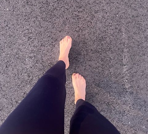 morning sunrise Curiosity and determination led me out my front door