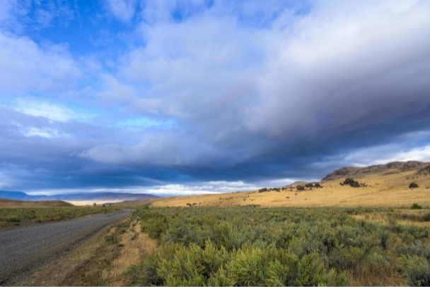 Dirt road through a field of green shrubs under a cloudy blue sky. Brown hills in the distance.