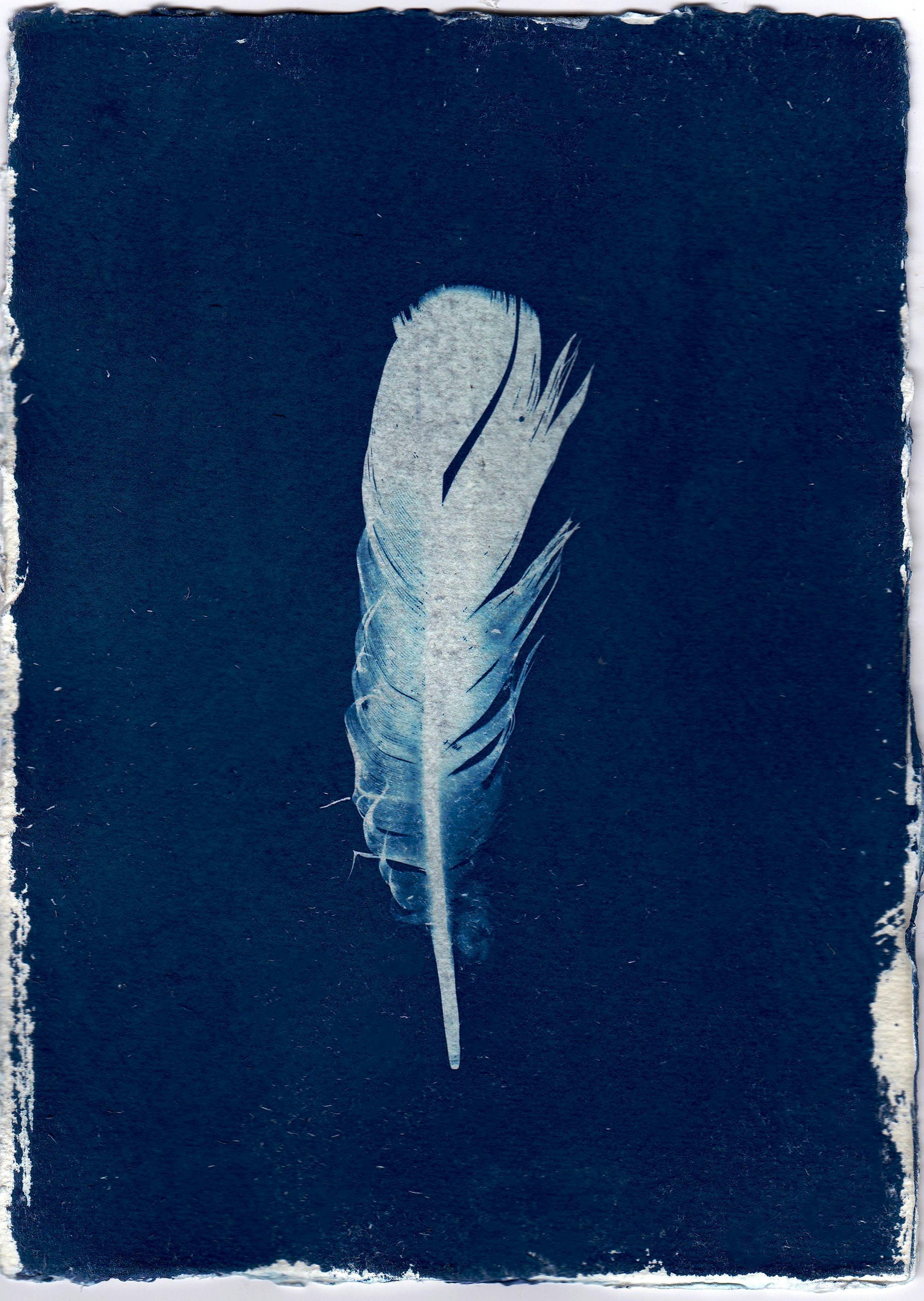 feathers letting go of children