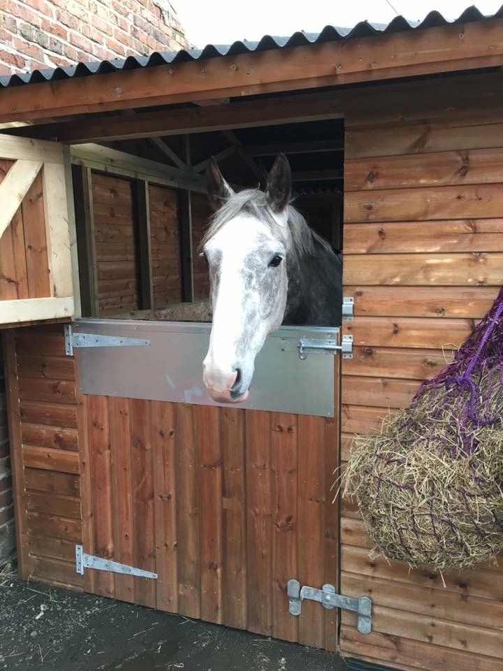 wooden stable for a horse