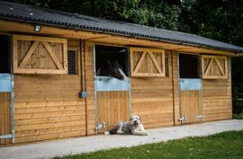 wooden stable, horse box
