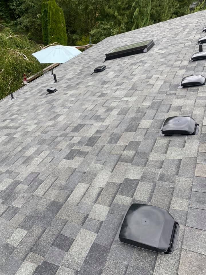 A roof with a lot of skylights on it.