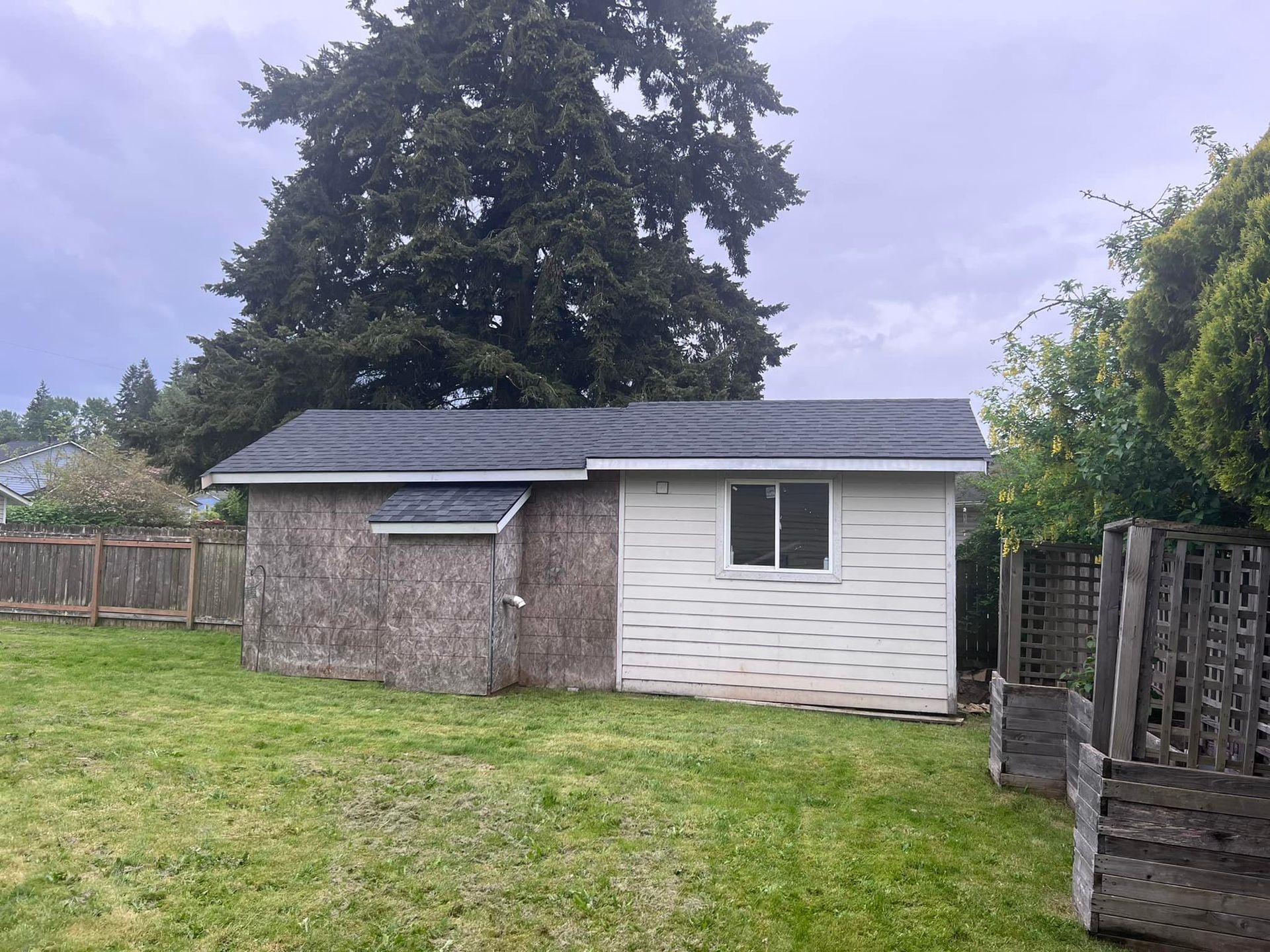 A small white shed is sitting in the middle of a grassy yard.