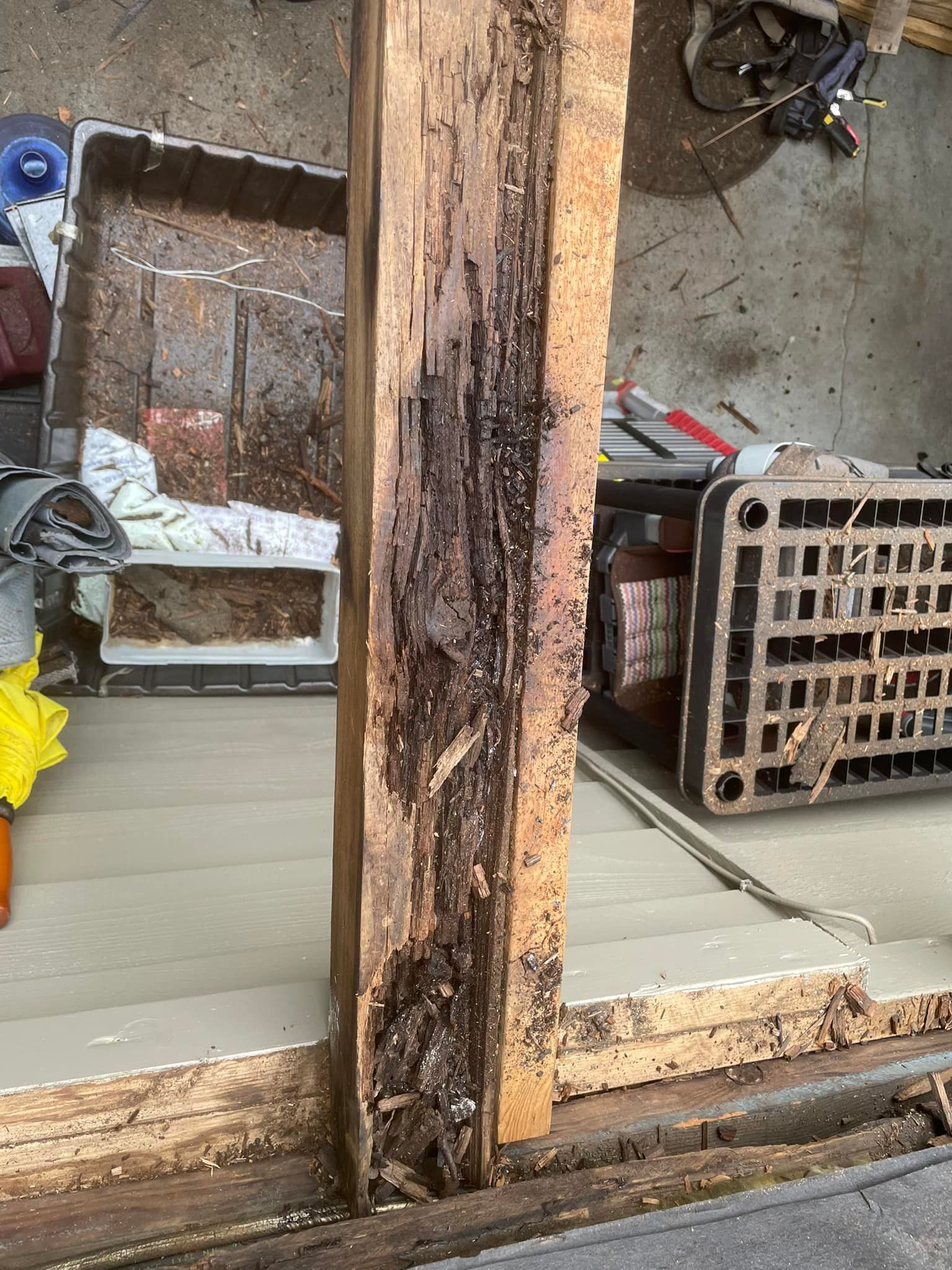 A piece of wood that has been eaten by termites is sitting on a table.