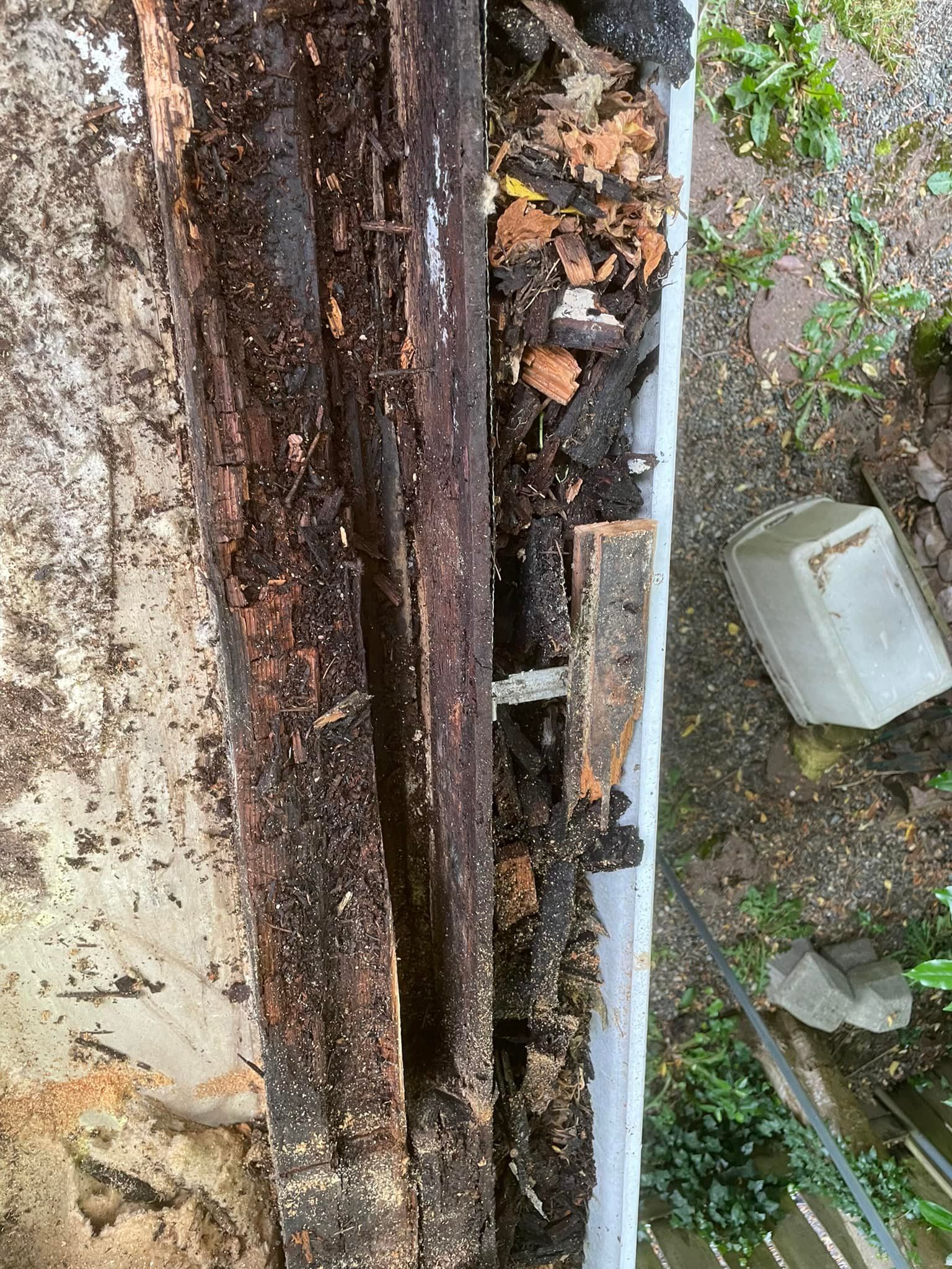 A close up of a gutter with a lot of leaves on it.